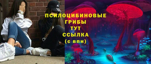дмт Абинск