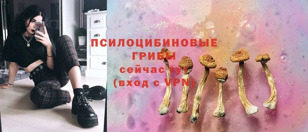 дмт Абинск