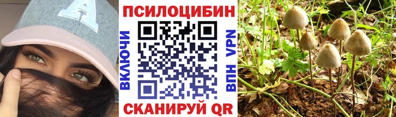 Псилоцибиновые грибы прущие грибы  как найти   Агидель 